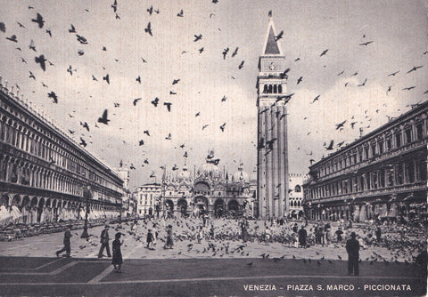 AK Venezia - Piazza S. Marco - Piccionata.