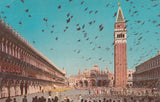 AK Venezia. Piazza S. Marco - Volo di Colombi.