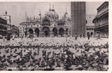 AK Venezia. Piccioni in Piazza S. Marco.