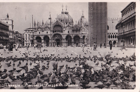 AK Venezia. Piccioni in Piazza S. Marco.