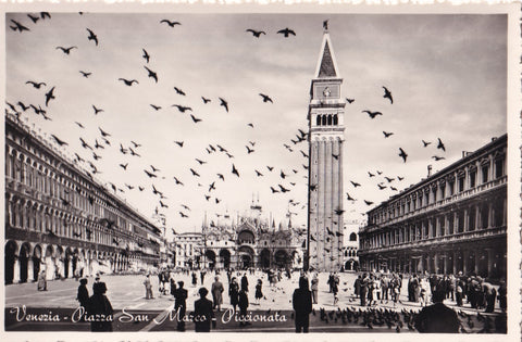 AK Venezia. Piazza San Marco Piccionata.