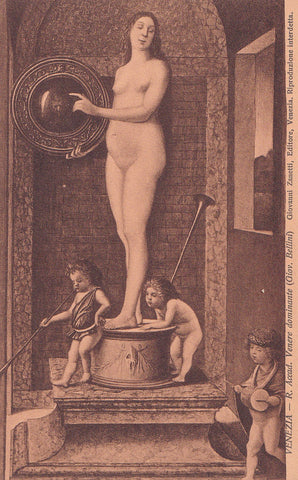 AK Venezia - R. Accademia di Belle Arti. Venere dominante (Giov. Bellini)
