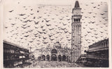 AK Venezia. Volata Piccioni in Piazza S. Marco.