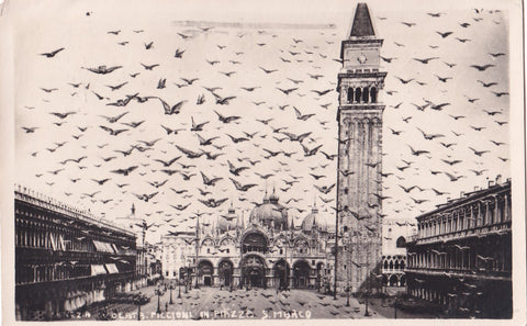 AK Venezia. Volata Piccioni in Piazza S. Marco.