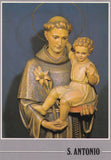 AK Padova S. Antonio.
