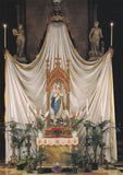 AK Padova. Basilica del Santo. L'Unione Macellai Militi dell'Immacolata.
