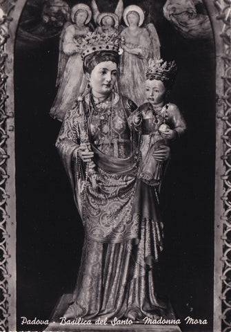 AK Padova. Basilica del Santo Madonna Mora.