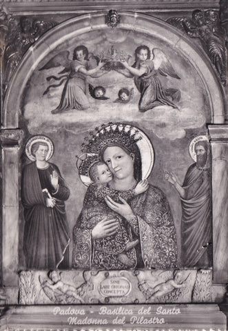 AK Padova. Basilica del Santo  Madonna del Pilastro.