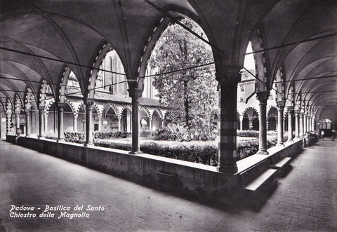 AK Padova. Basilica del Santo. Chiostro della Magnolia.