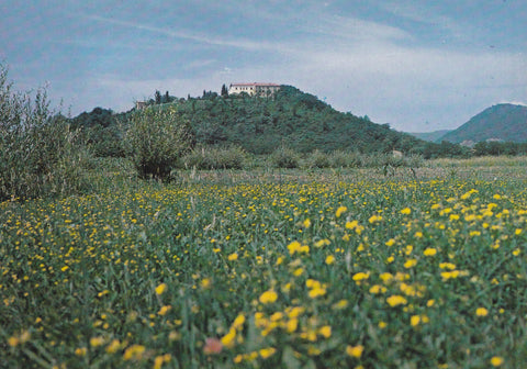 AK Abano. Monastero Benedettine S. Daniele. Panorama.