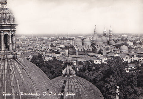 AK Padova. Panorama. Basilica del Santo.