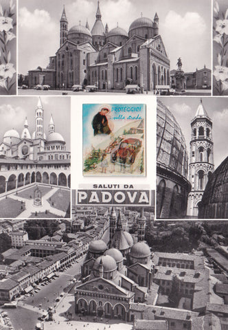 AK Padova.