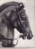 AK Padova Dettaglio del Condottiero Erasmo Gattamelata - Donatello.