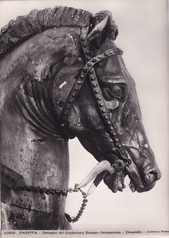 AK Padova Dettaglio del Condottiero Erasmo Gattamelata - Donatello.