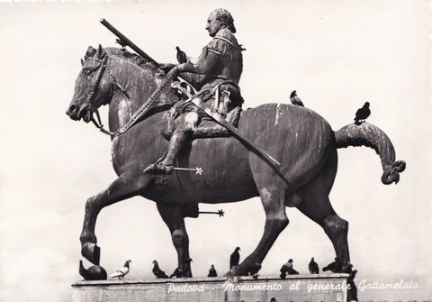 AK Padova. Monumento al Generale Gattamelata.
