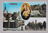 AK Padova.