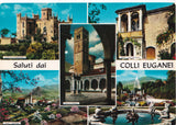 AK Saluti dai Colli Euganei.
