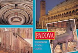 AK Padova.