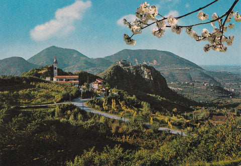 AK Colli Euganei. Panorama verso Castelnuovo e Rocca Pendice.