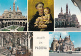 AK Padova.