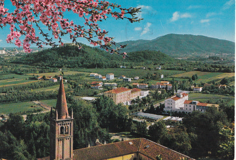 AK Monteortone. Panorama verso S. Daniele.
