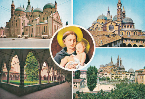 AK Padova.