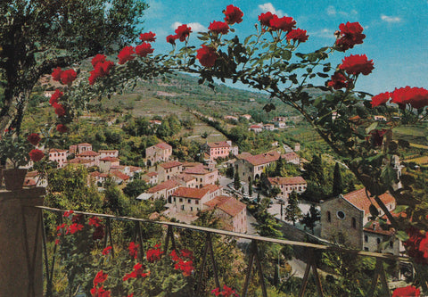 AK Arquà Petrarca. Colli Euganei.