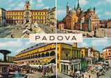 AK Padova.