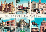 AK Padova.