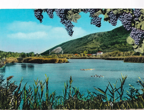 AK Arquà Petrarca. Il laghetto.