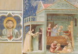 AK Padova. Cappella degli Scrovegni. Giotto. Nativita di Maria.