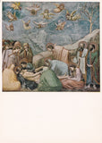 AK Padova. Cappella degli Scrovegni. Giotto. Giudizio La deposizione di Cristo.
