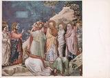 AK Padova. Cappella degli Scrovegni. La resurrezione di lazzaro.