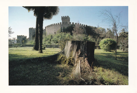 AK Este - Il Castello da villa Kunkler.