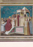 AK Padova. Cappella degli Scrovegni. Giotto. Presentazione di Maria al Tempio.