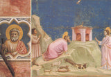 AK Padova. Cappella degli Scrovegni. Giotto. Il sacrificio di Gioacchino.