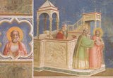 AK Padova. Cappella degli Scrovegni. Giotto. Cacciata di Giocchino dal Tempio.