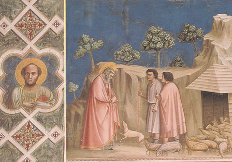 AK Padova. Cappella degli Scrovegni. Giotto. Giocchino tra i pastori.