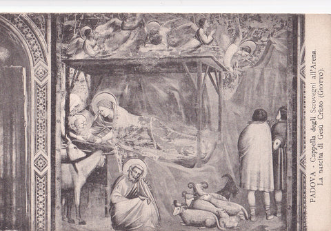 AK Padova. Cappella degli Scrovegni. Giotto. La nascita di gesu Cristo.
