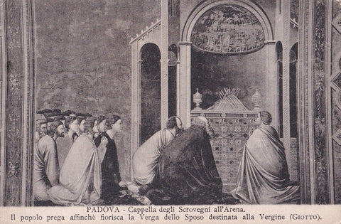AK Padova. Cappella degli Scrovegni. Giotto. Il popolo prega affinche fiorisca la verga dello Sposo destinata alla Vergine.