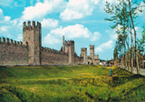 AK Montagnana. Mura Nord e Porta Vicenza.
