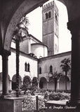 AK Badia di Praglia. Chiostro botanico.