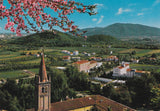 AK Monteortone. Panorama verso S. Daniele.