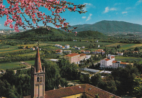 AK Monteortone. Panorama verso S. Daniele.