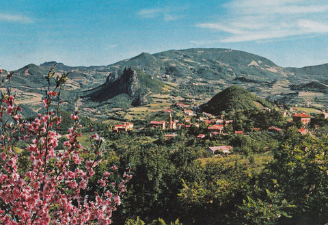 AK Colli Euganei. Teolo. Panorama di Teolo verso Monte Venda.