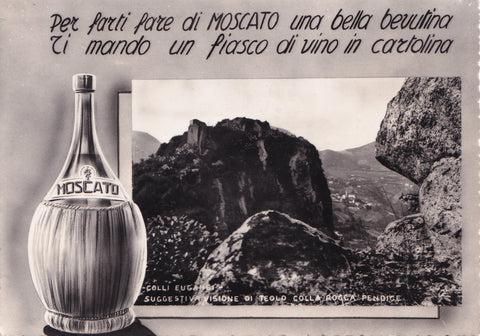 AK Colli Euganei - Suggestiva Visione di Teolo Colla Rocca Pendice.