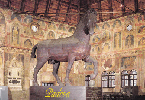 AK Padova. Palazzo della Ragione. Salone e Cavallo.