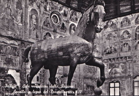 AK Padova. Sala Palazzo della Ragione Cavallo in legno del Donatello.