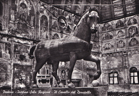 AK Padova. Interno Sala ragione Il cavallo del Donatello.