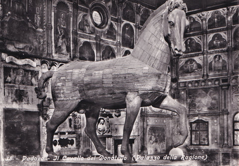 AK Padova. Il Cavallo del Donatello (Palazzo della Ragione)